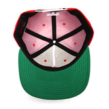 Diamond Supply Co. Hamilton Snapback