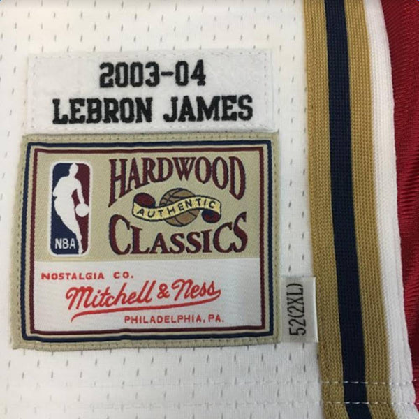 Mitchell & Ness LeBron James Jersey