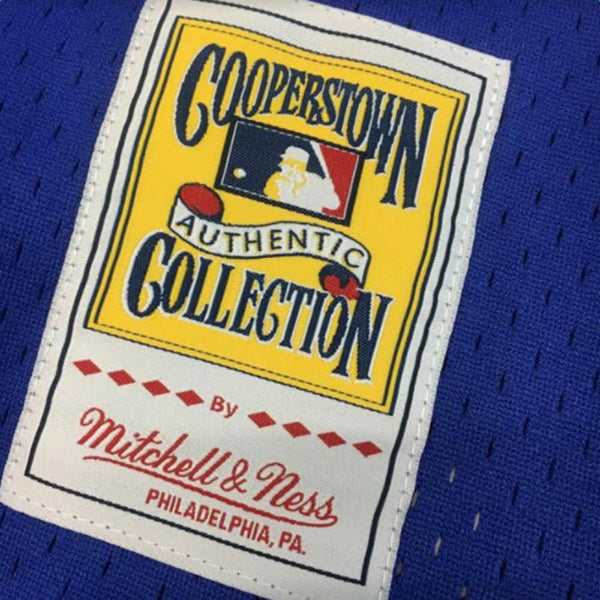 Mitchell & Ness Mike Piazza Jersey