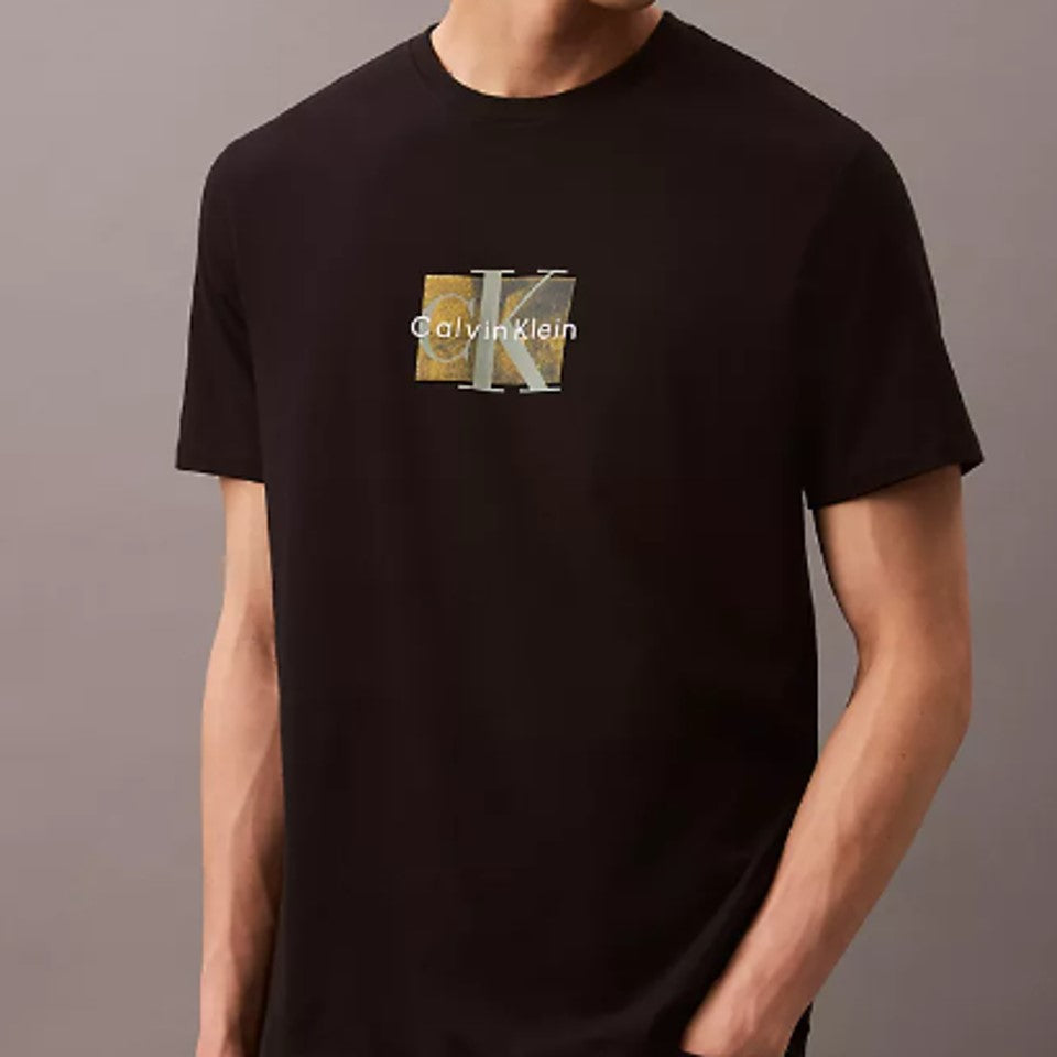 Calvin Klein SS Box Logo Overlay Crewneck Tee – HiPOP Fashion