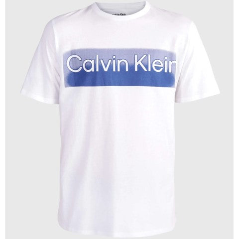 CALVIN KLEIN SS GLOW OUTLINE STANDARD LOGO CREWNECK TEE