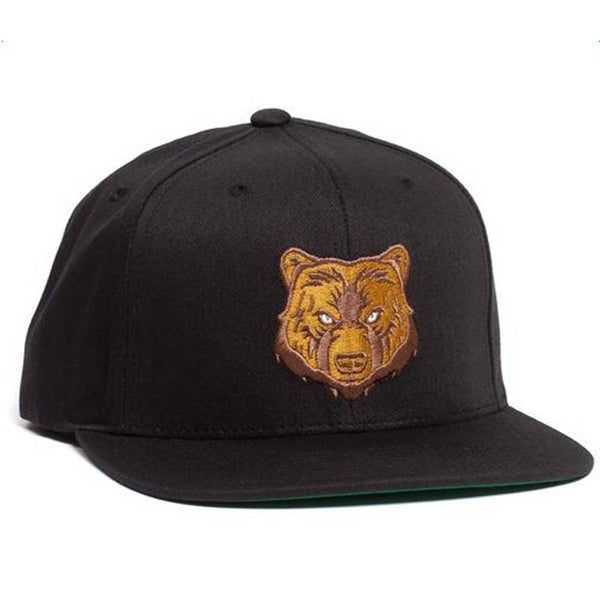 Grizzly Park Visitor Snapback